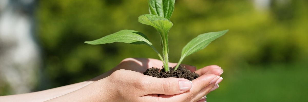 Siirt’te Kadın ve Tarım Kooperatifleri Ne Yapıyor