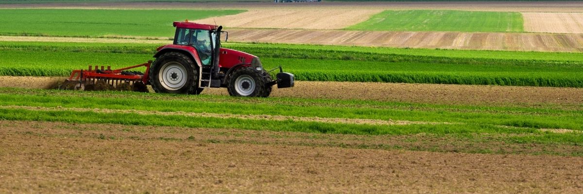 Siirt’te Kadın ve Tarım Kooperatifleri Ne Yapıyor